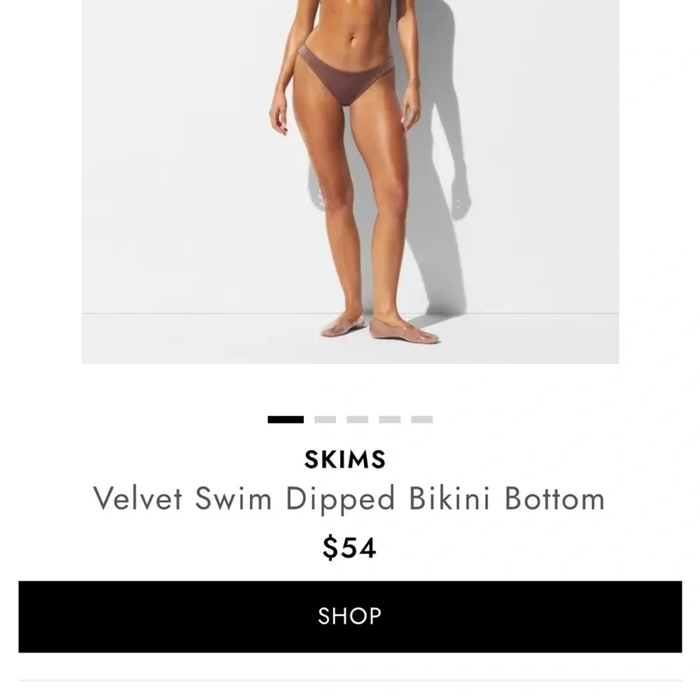 SKIMS Velvet Brown Bikini Bottom